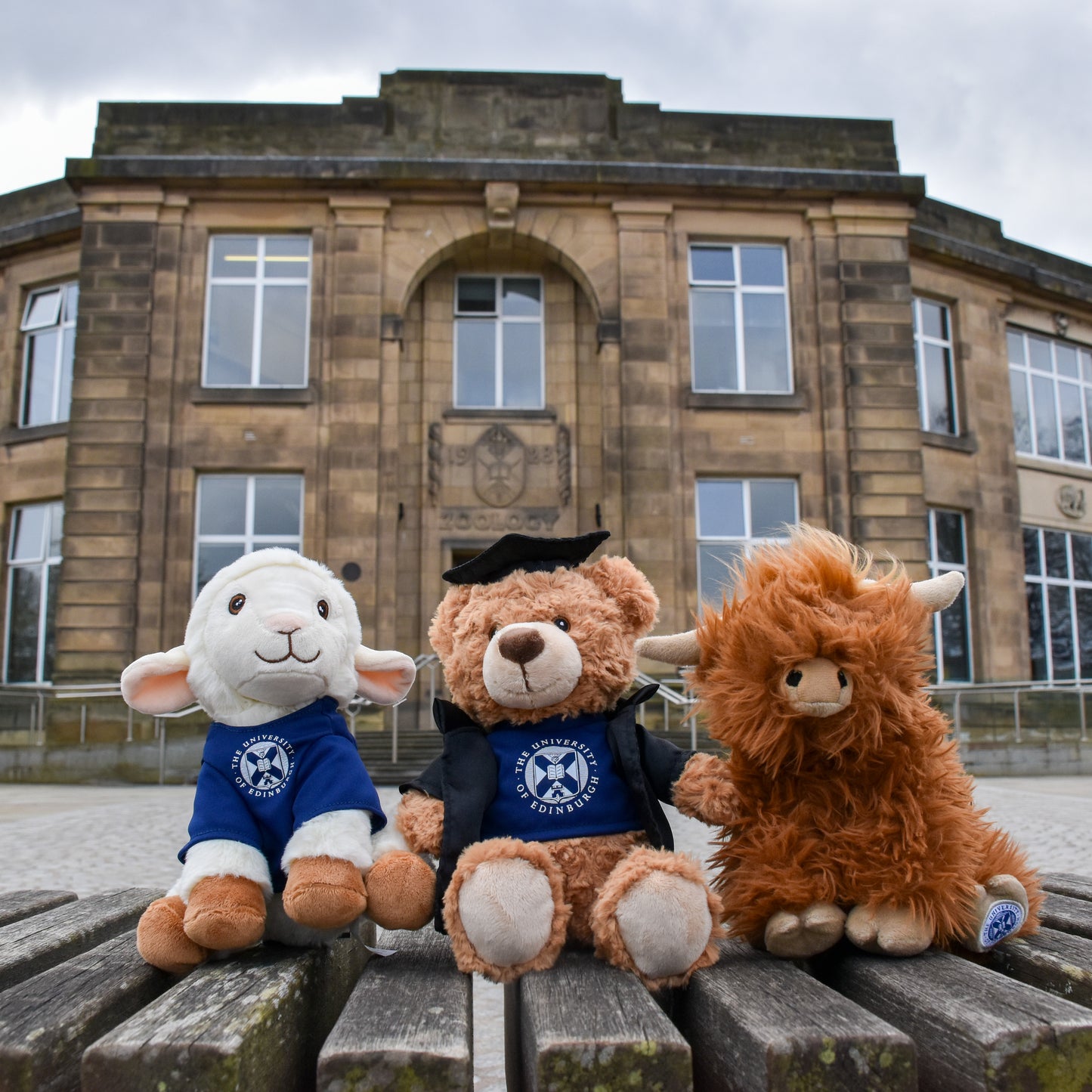From left to right: Dolly Recycled Plush, Edinbear Recycled Plush, and McCoowan recycled plush. They are sitting on a wooden bench in front of the old Zoology building.
