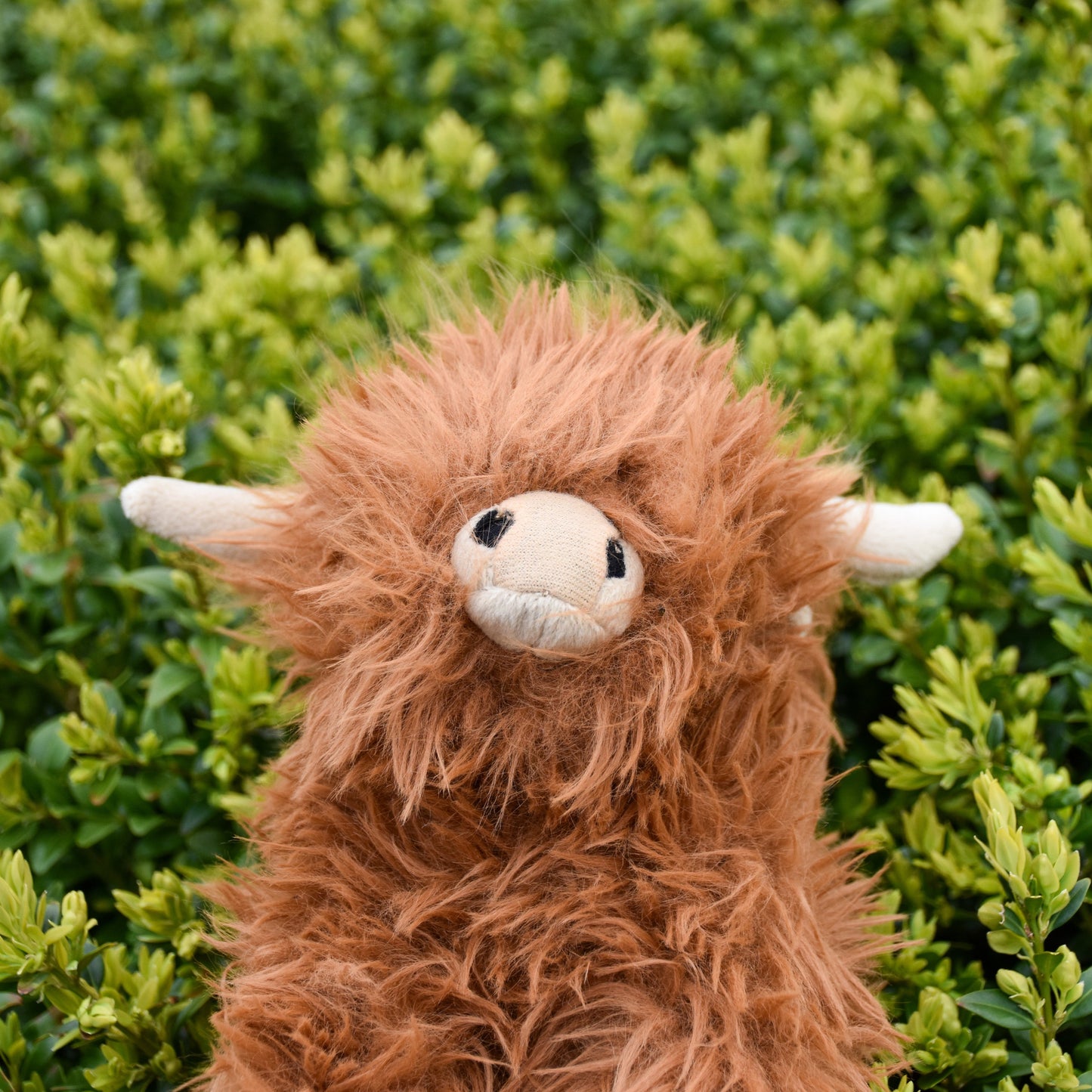 A close up of the McCoowan Recycled plush's face in front of an out of focus green bush background.