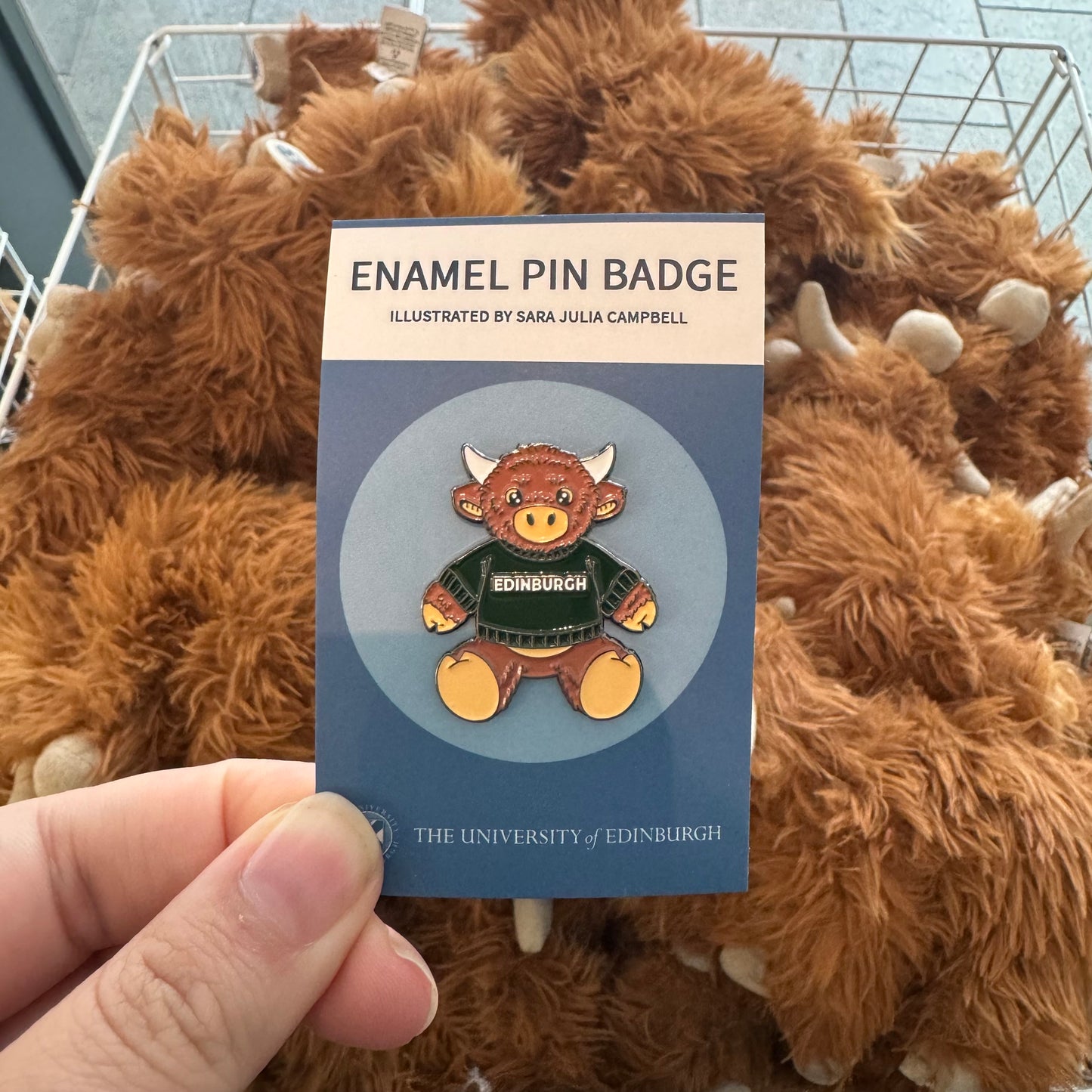 McCoowan Highland Cow Pin Badge