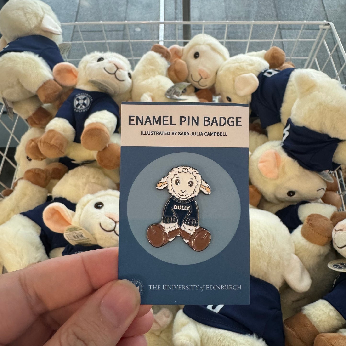 Dolly the Sheep Pin Badge