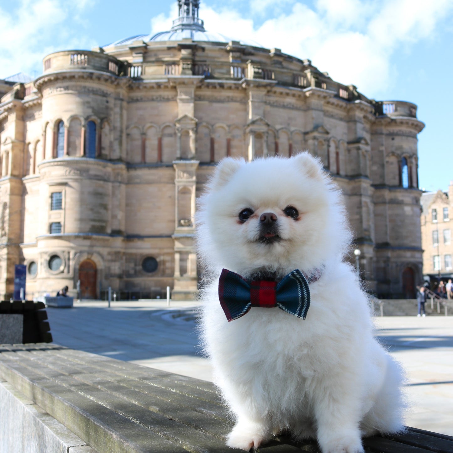 Tartan Pet Bowtie