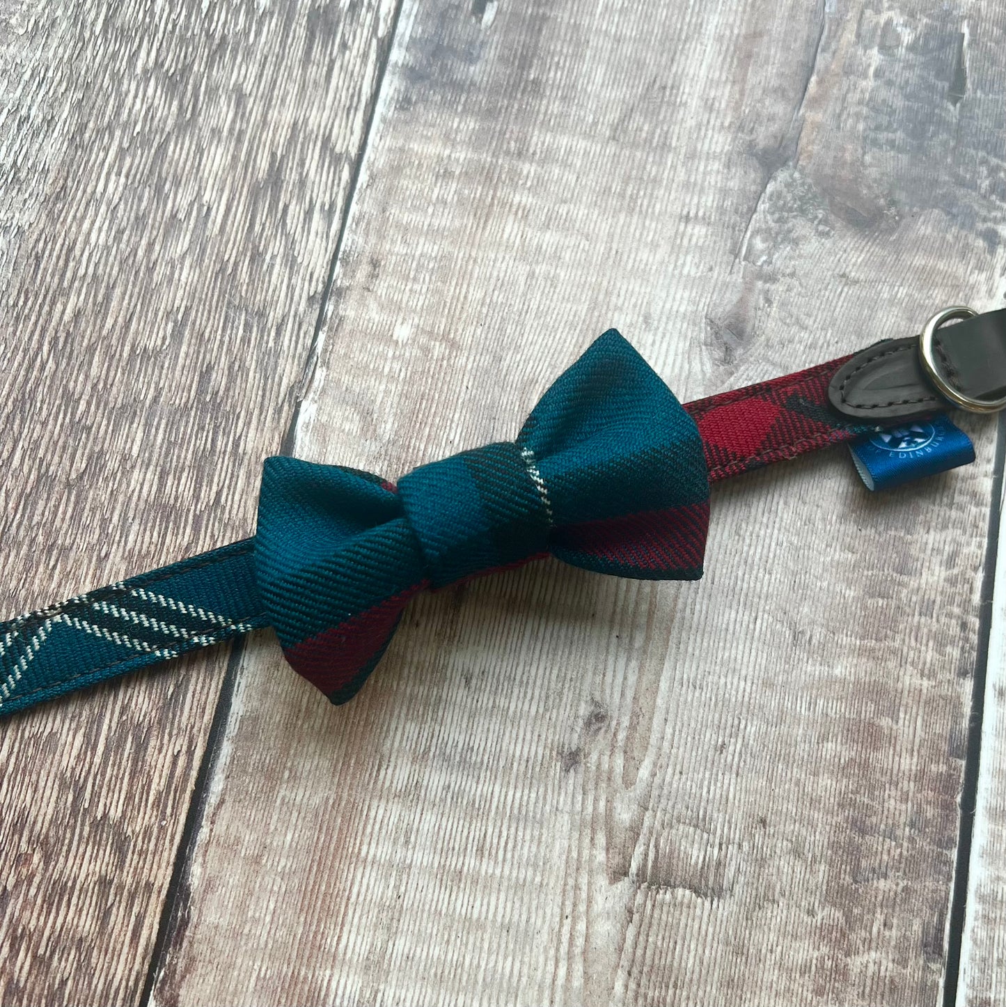 tartan dog collar with tartan bowtie atatched 