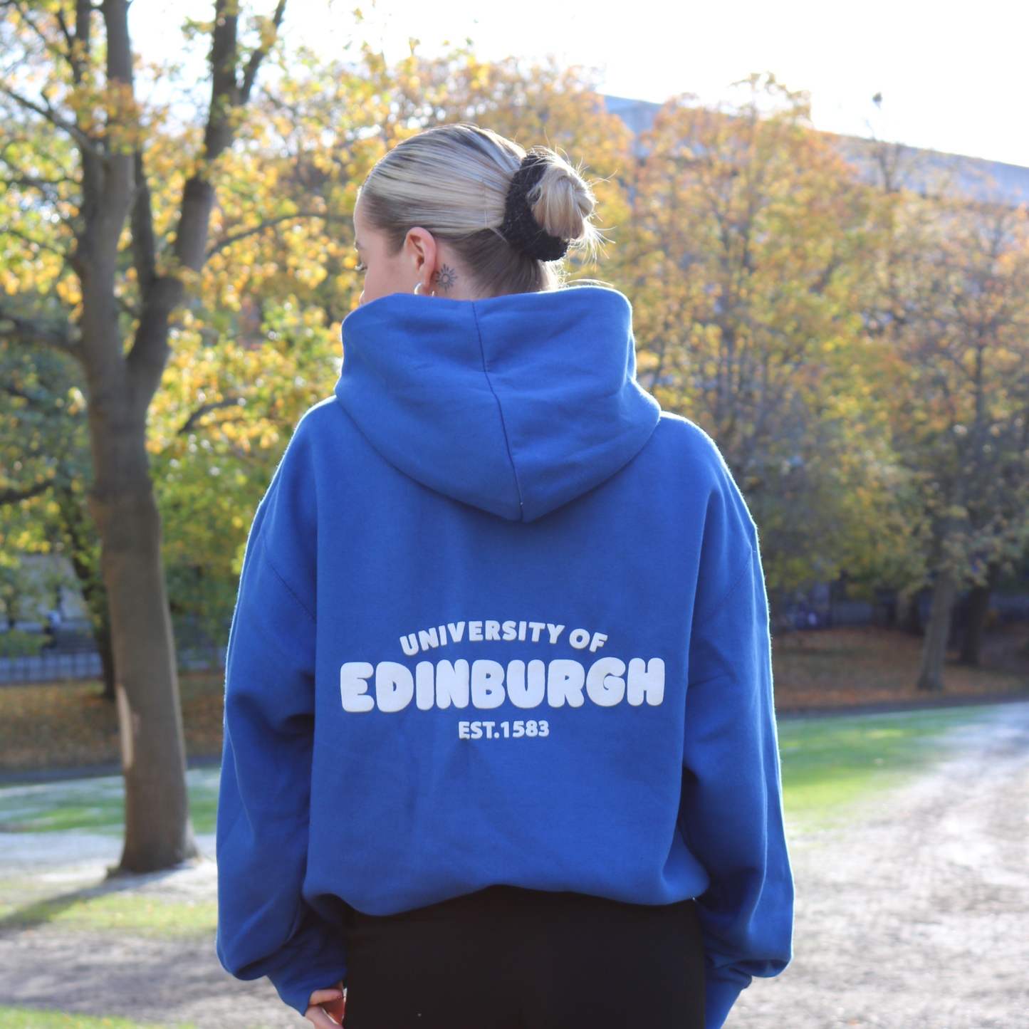 Established Bubble Hoodie