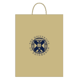 Paper Bag