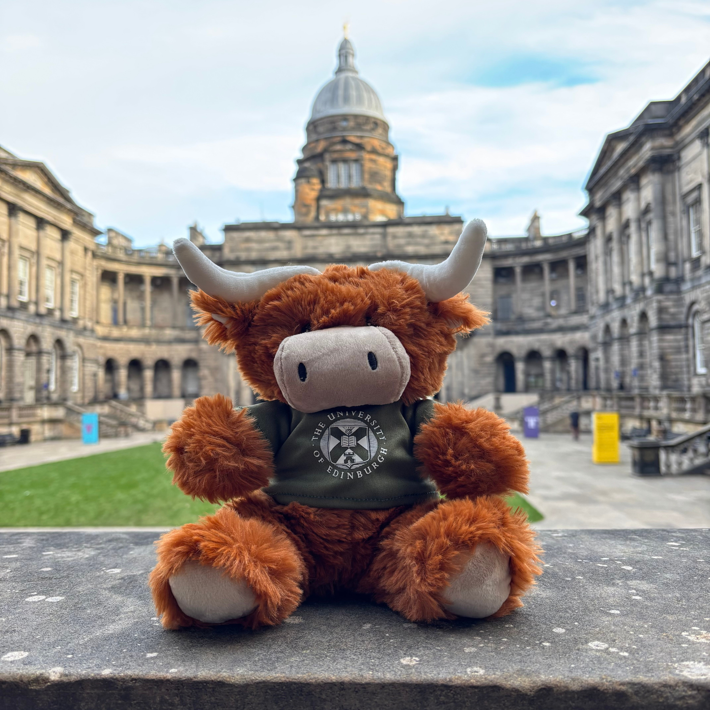 McCoowan Highland Coo plush in the Old College Quad.