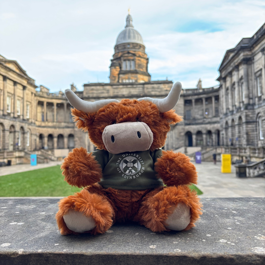 McCoowan Highland Coo plush in the Old College Quad.