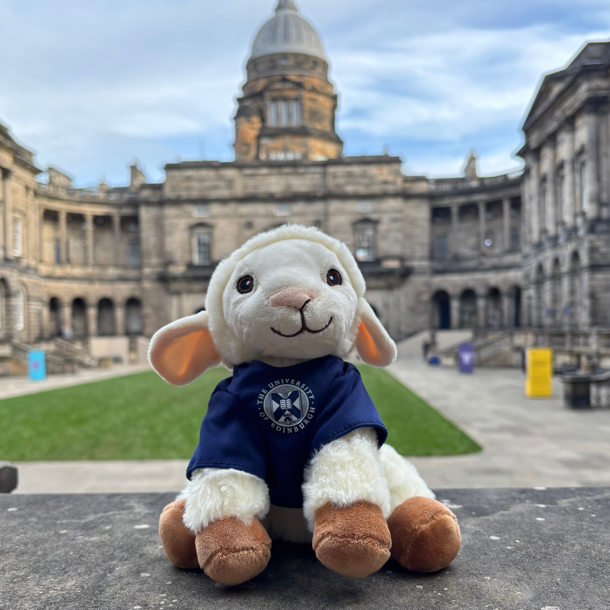 Dolly the Sheep plush wearing a University branded t-shirt in the Old College Quad.