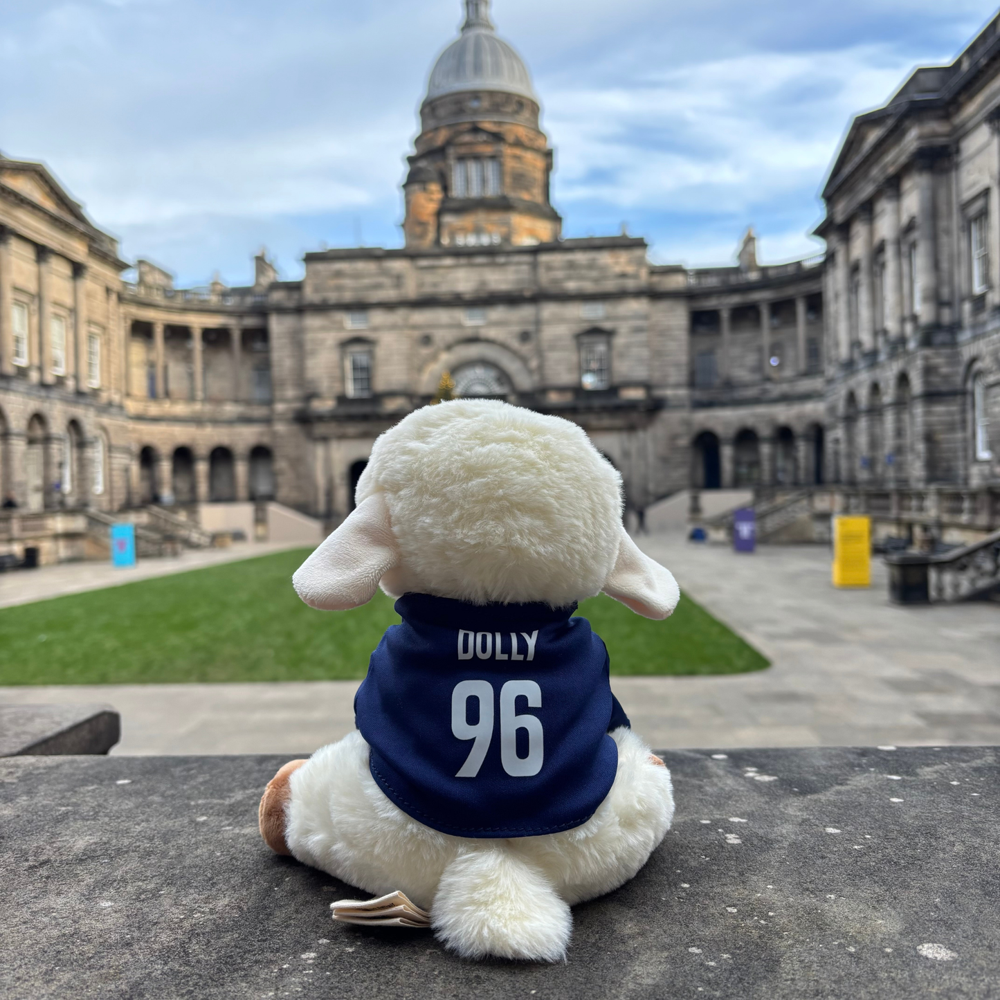 The back of Dolly the Sheep says 'Dolly 96'.