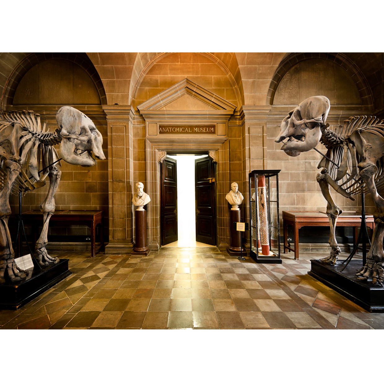 Photograph of the Anatomical Museum entrance