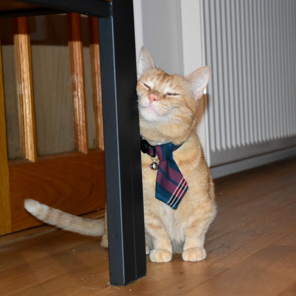 Tartan Cat Tie