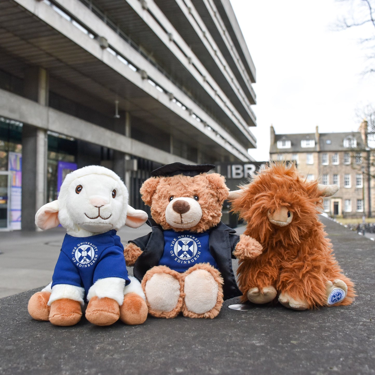 From left to right: Dolly Recycled Plush, Edinbear Recycled Plush, and McCoowan Recycled plush sitting in front of the Main Library.