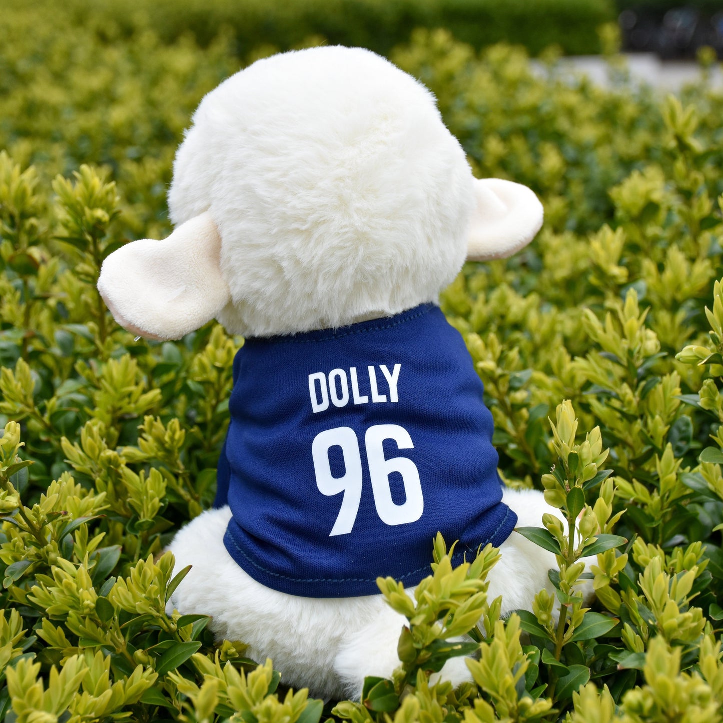 Dolly Recycled Plush facing backwards on a green bush. The back of her shirt reads "Dolly 96" in block white text. 