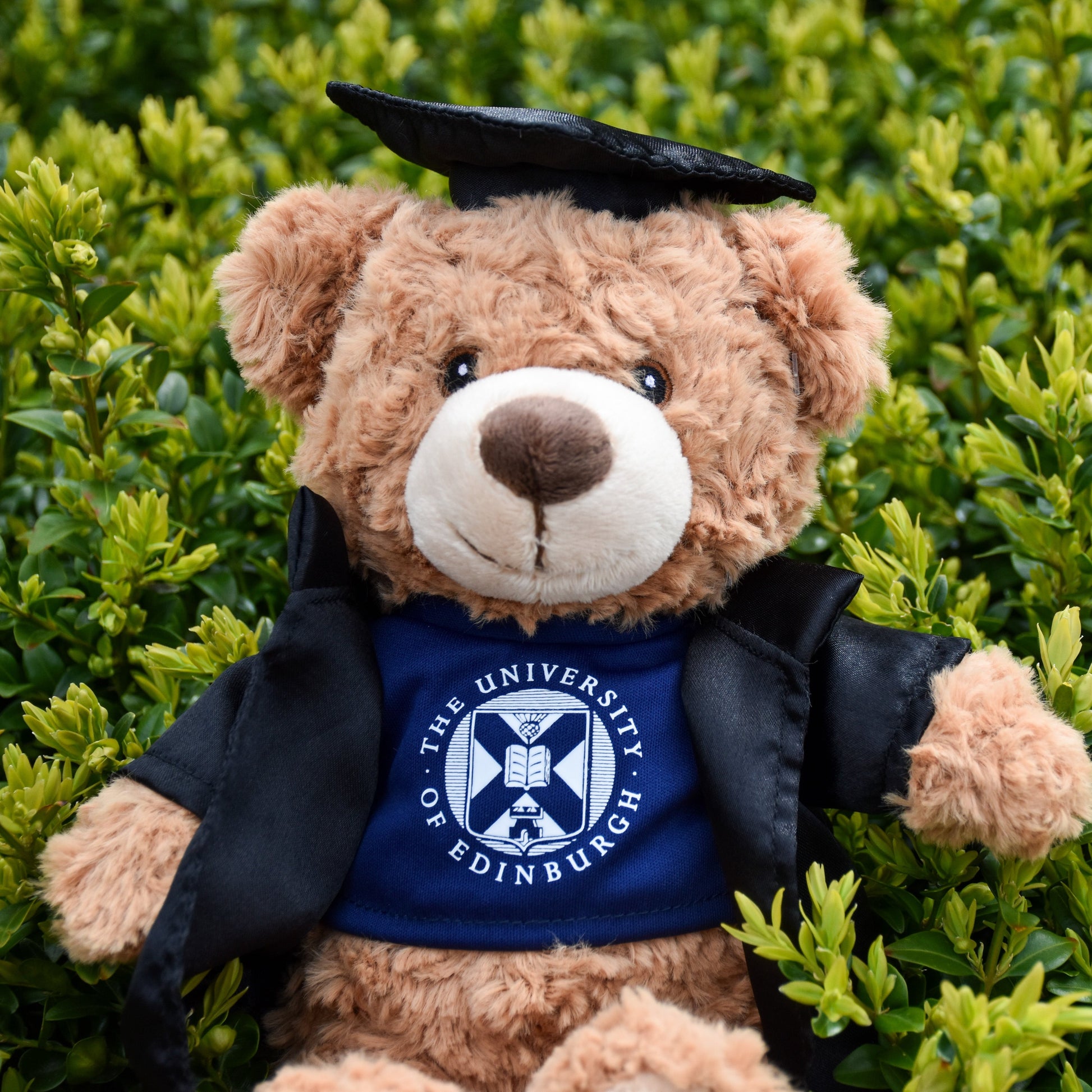 A close up of Edinbear Recycled Plush's face in front of a green bush.