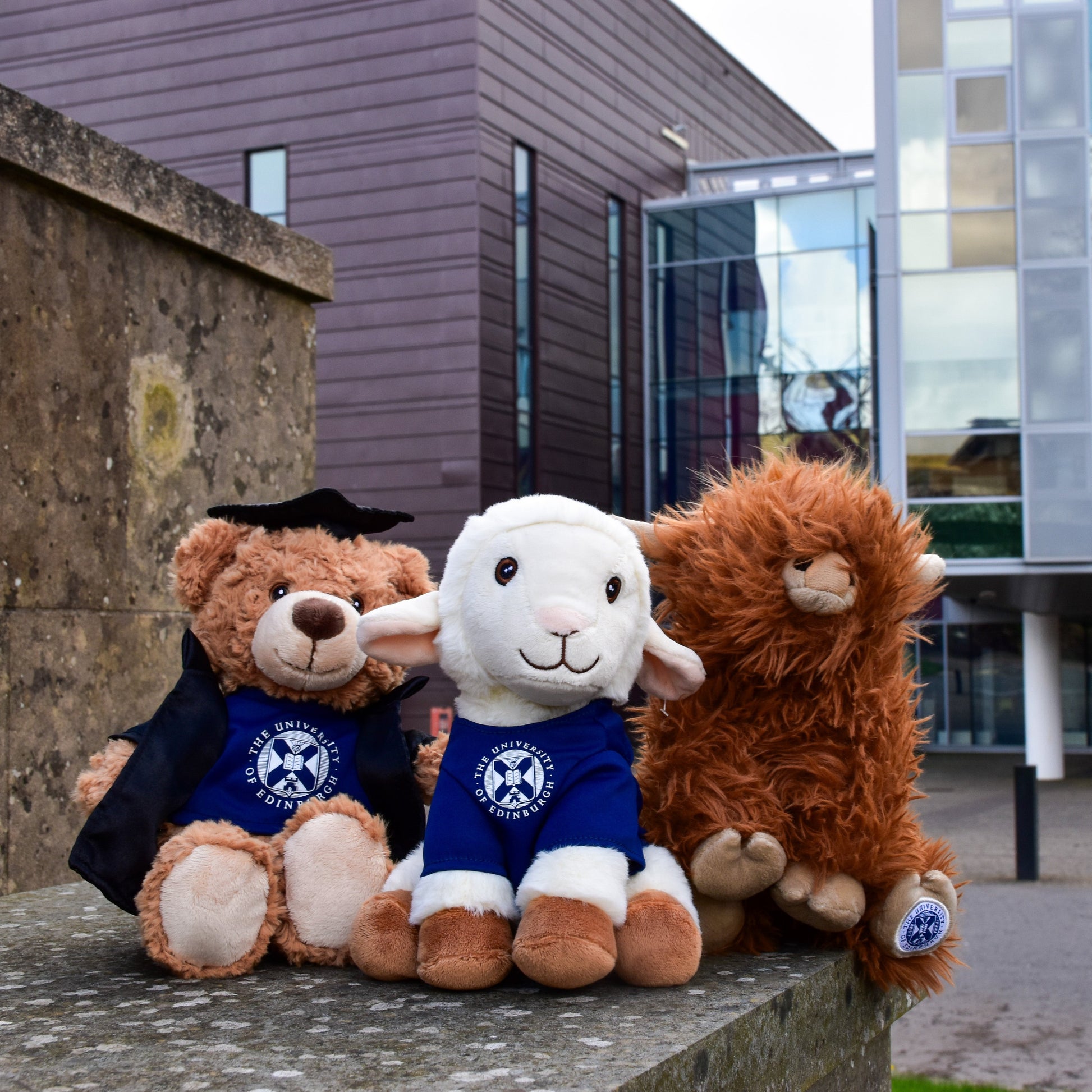 From left to right: Edinbear Recycled Plush, Dolly Recycled Plush, and McCoowan Recycled Plush sitting on a concrete bench in front of the Roslin Institute.