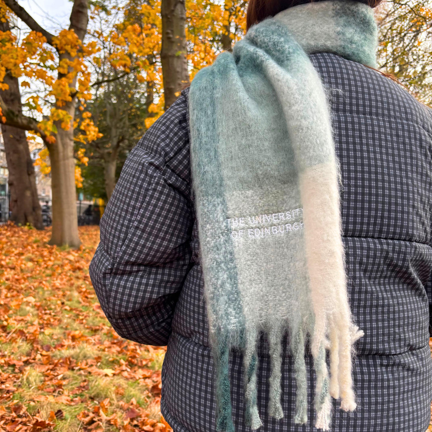 University Embroidered Check Scarf
