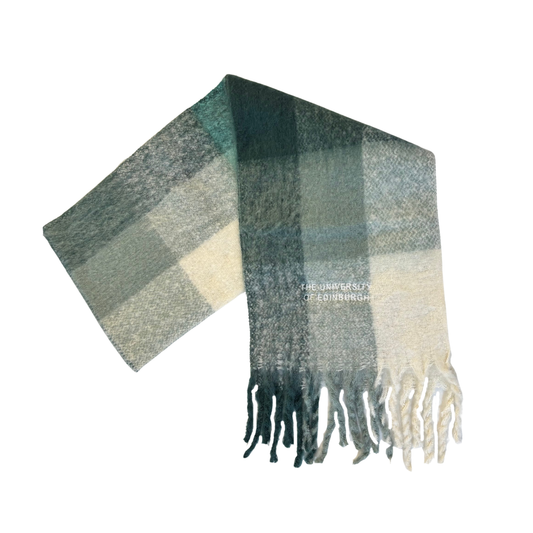 Green plaid scarf with fringes on a white background.