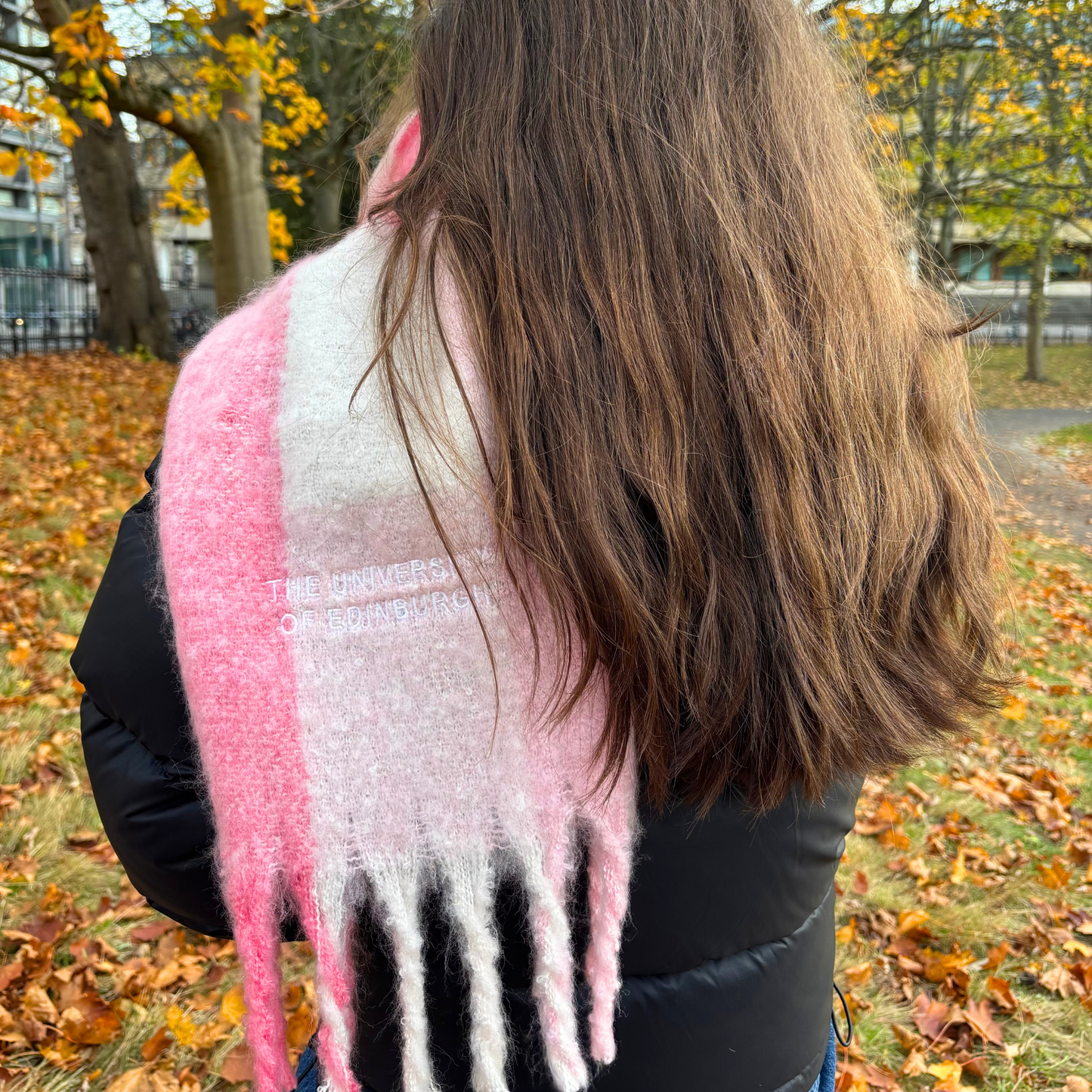 University Embroidered Check Scarf