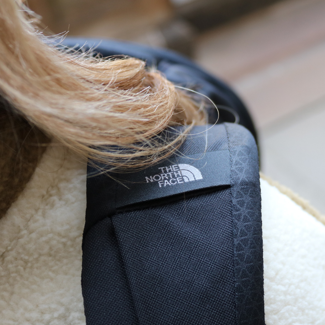 The North Face Vault Backpack