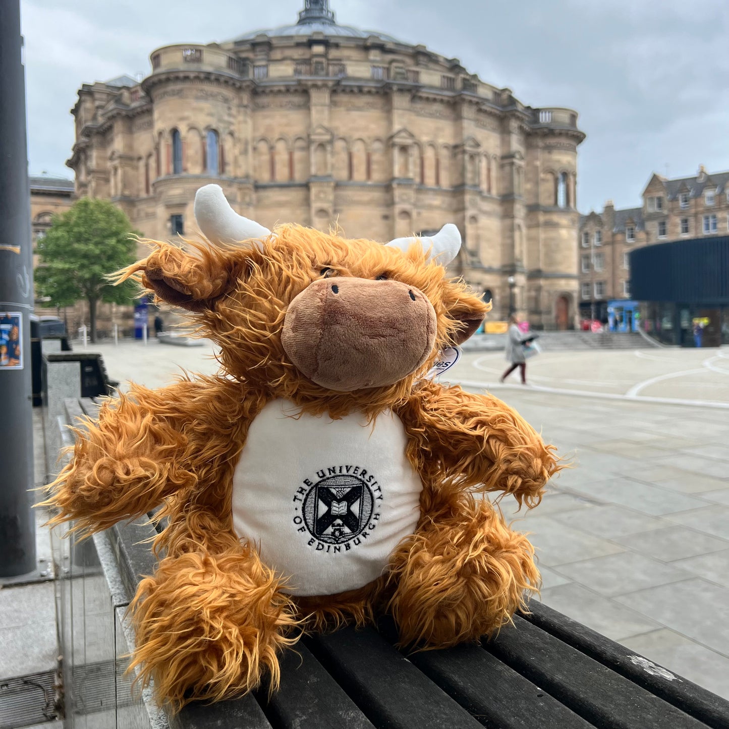 Highland cow plush toy with the university crest embroidered in black, pictured in front of mcewan hall