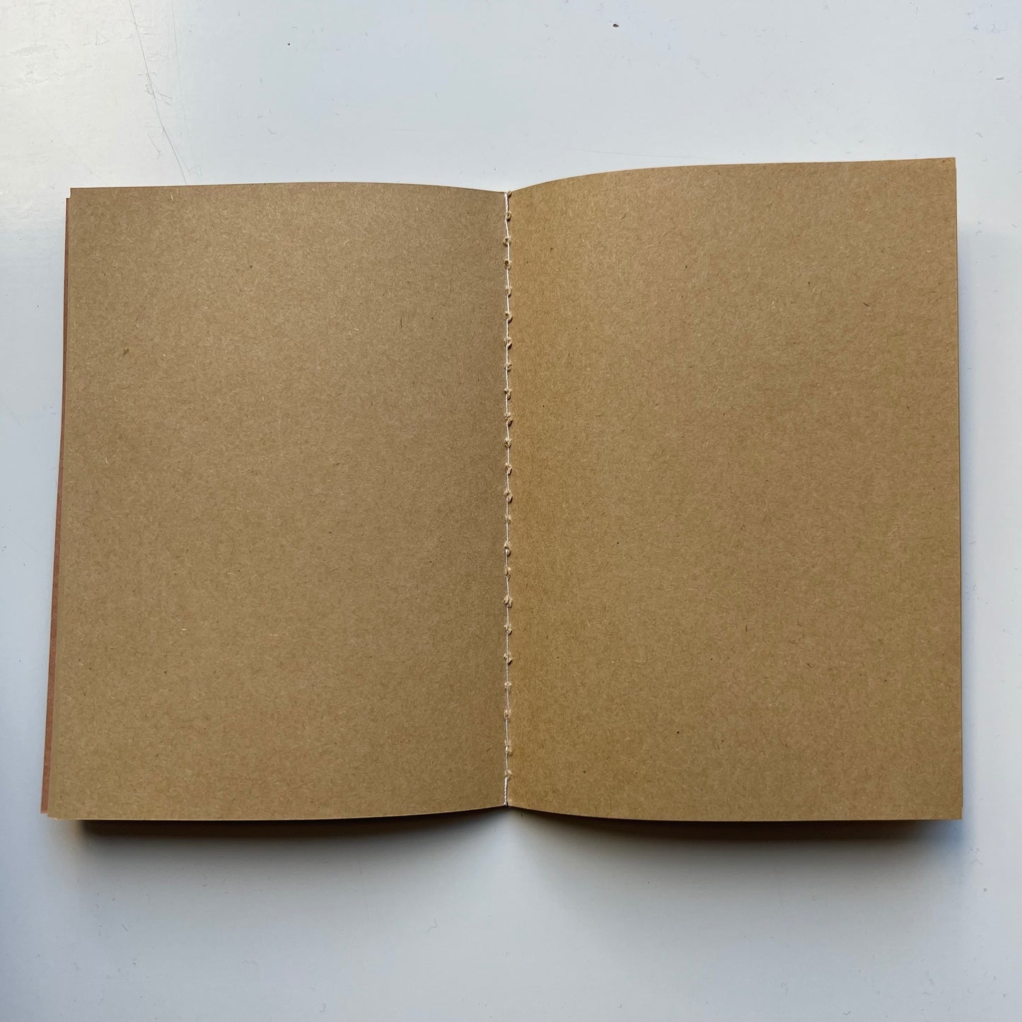 Inside of the A6 Recycled Notebook demonstrating its plain kraft pages. 