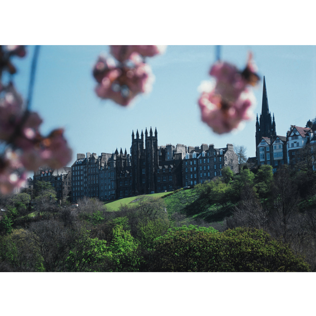 Photograph of New College on the mound, behind trees