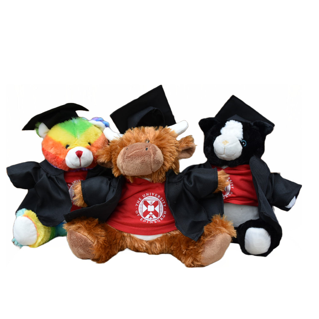 Three soft toys wearing University red hoodies with a graduation hat and gown